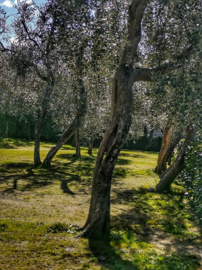 Camping Baldo Brenzone sul Garda Exteriér fotografie