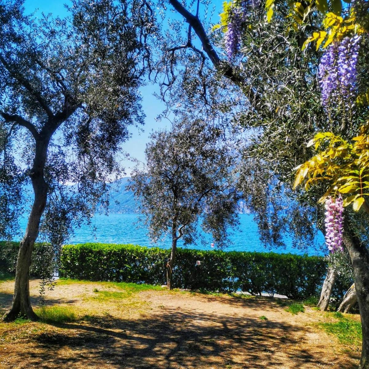 Camping Baldo Brenzone sul Garda Exteriér fotografie
